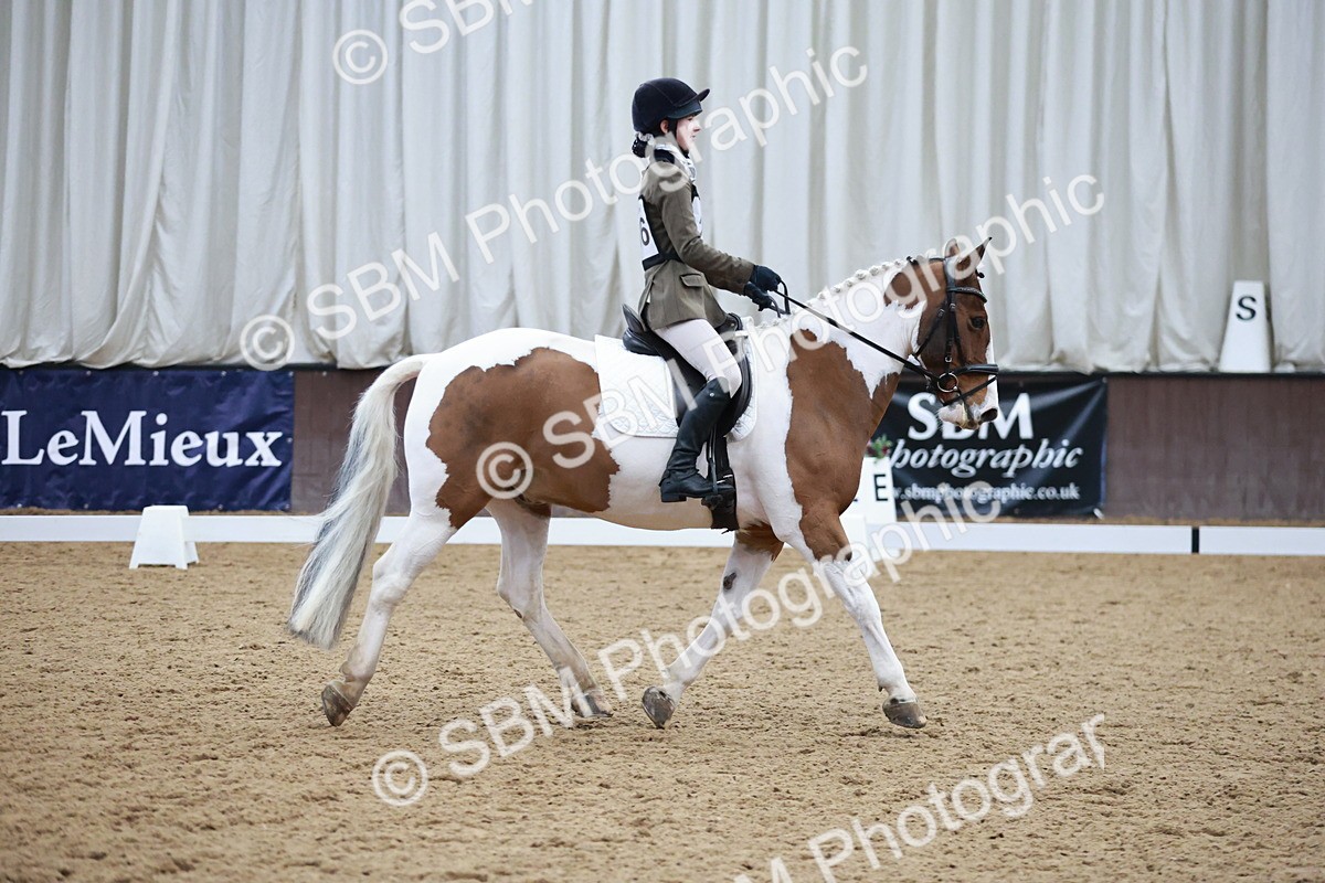 SBM_003933 - Class 2 - Novice 2020