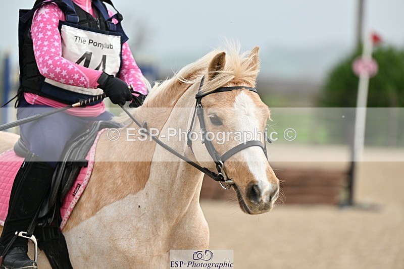 241110-113311-00459 - 50-55cm Arena Eventing