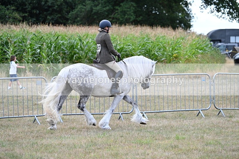 WJ7_4822 - Class 12 Ridden Cob