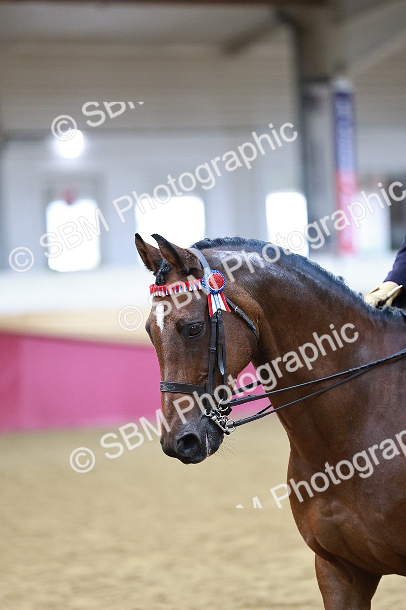 SBM_08263 - Class 11R - Regional Ridden Veteran