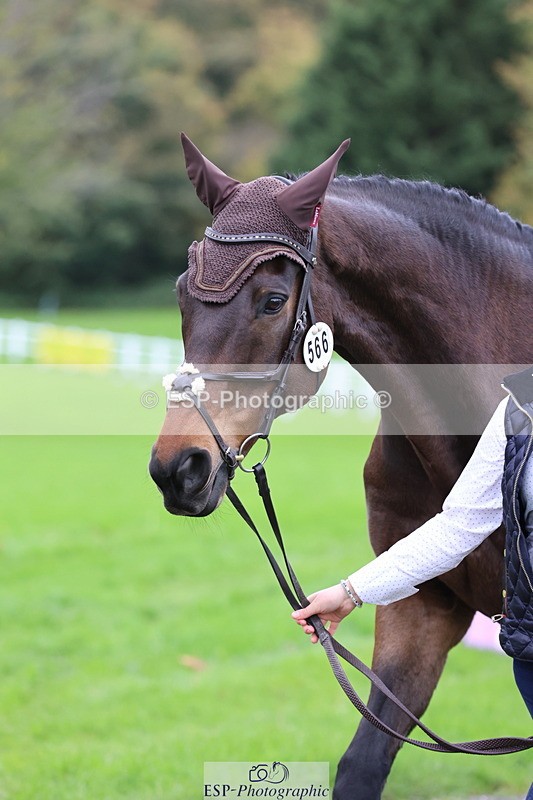 251026A-110400-23487 - G-566-Charlotte.Smith