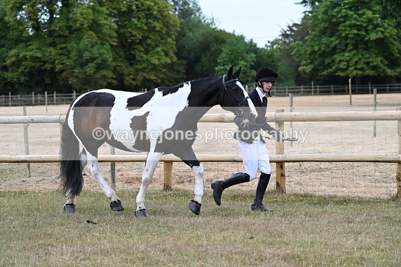 WJ7_8835 - Class 4a Prettiest Mare 14.2hh and over