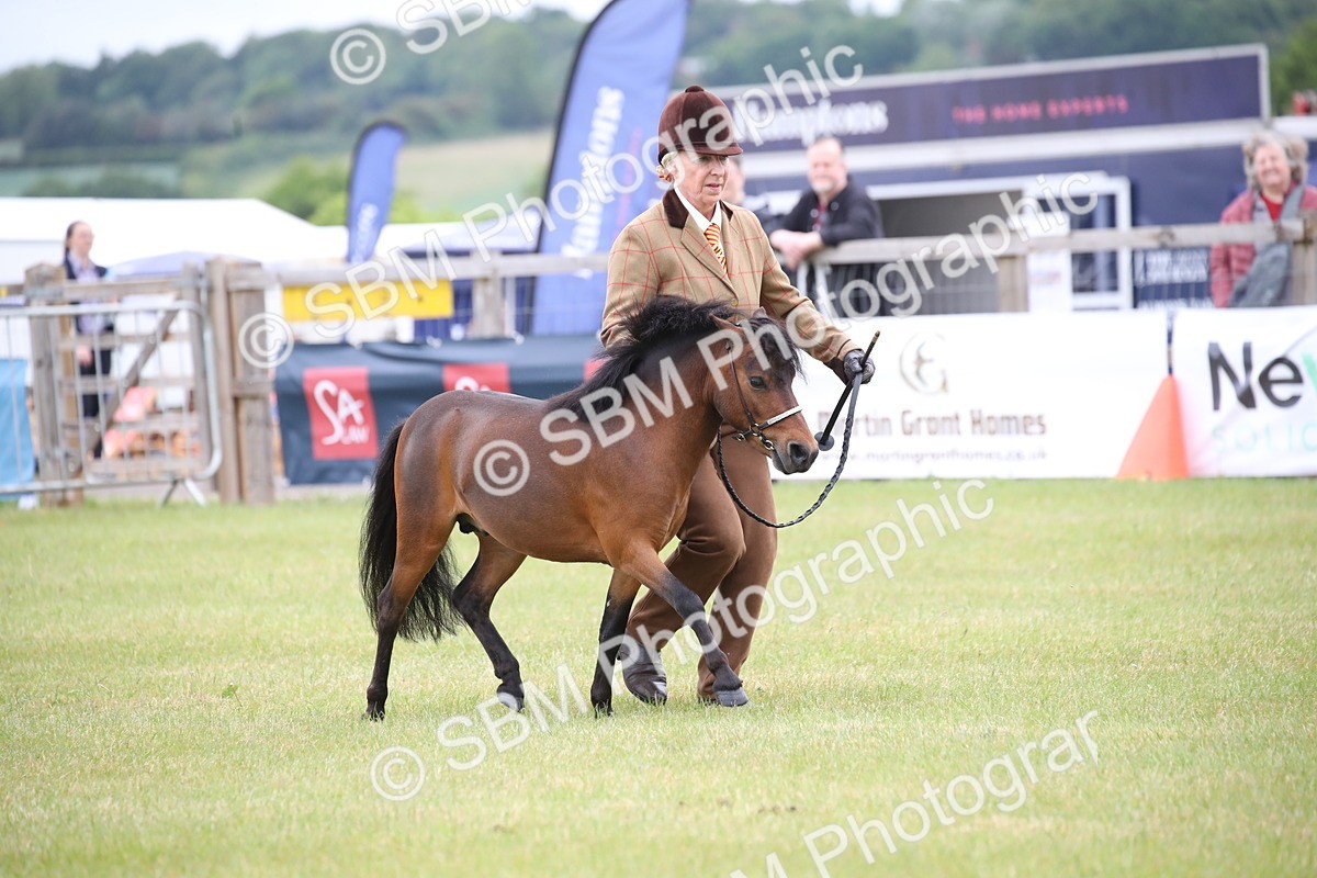 SBM_03685 - Class 23-25 - British Miniature Horse of the Year