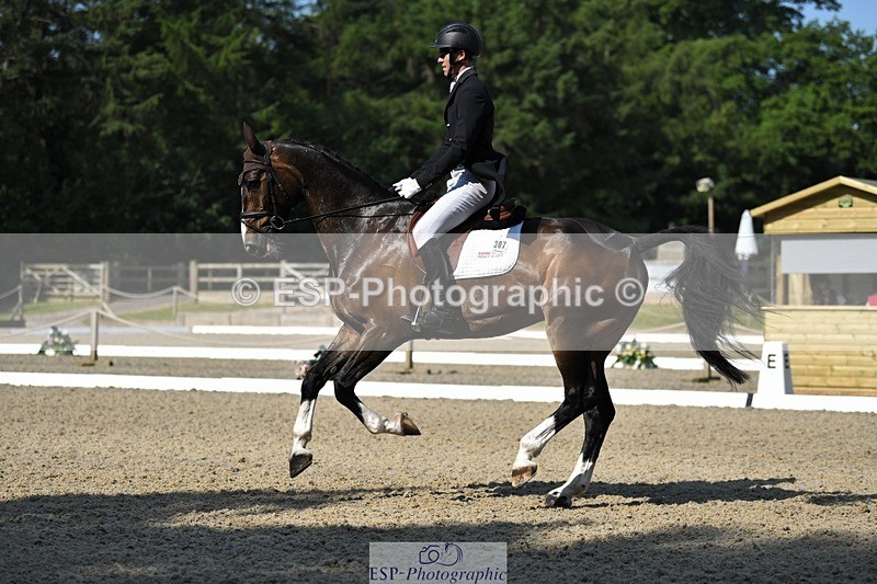 230525-094120-01646 - 307-PENHILLS_CANDY_MAN-Max_Warburton-WEDTrotUp+DR