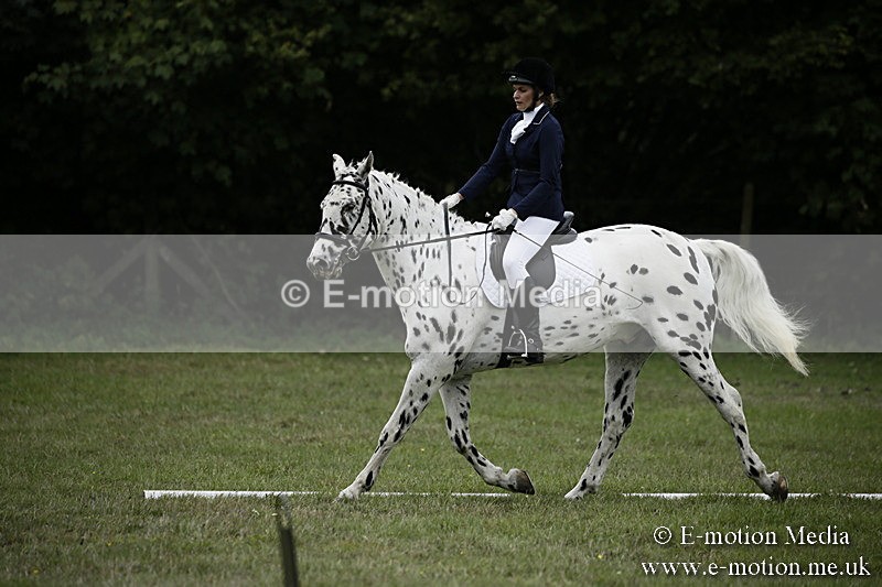 BVR080918 277 - BVRC Novice Dressage & CR 08/09/18