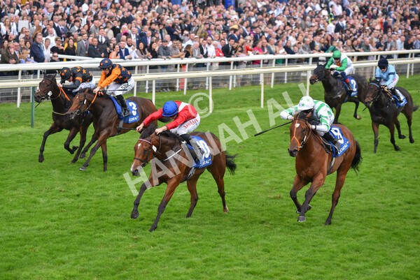yr09102021r2-19 - Race 2 2.02pm Coral Beaten-By-A-Length Free Bet Rockingham Stakes