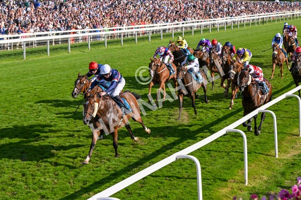 240824-Race 7-Sir Busker-1990 - Race 7 5.20pm Sky Bet Finale Handicap