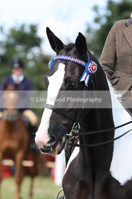 JPP_1391 - Class 17: Cornish Combination Open