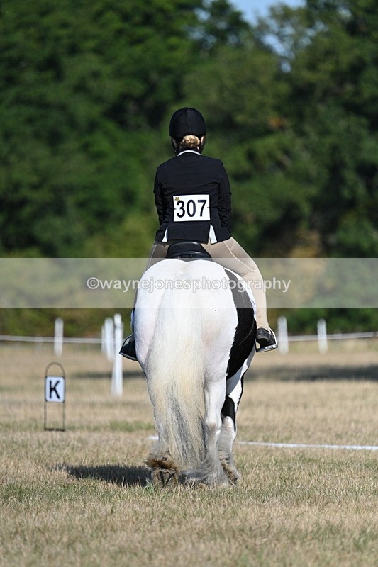 WJ7_8862 - Time 09:00 to 09:24