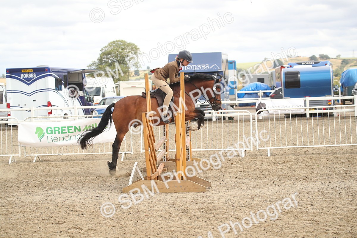 SBM_17864 - Class 508b - Working Veteran 70cm (20+)