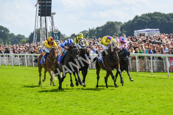 290723-Race 3-Alflaila-0542 - Race 3 3.15pm Sky Bet York Stakes (Group 2)