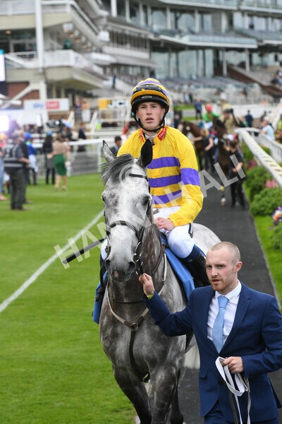 yr11062022r1-37 - Race 1 12.45pm Macmillan Ride of Their Lives, supported by Sky Bet