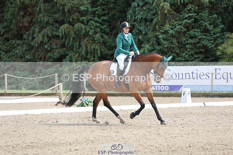 250718A-153028-02588 - 152-Tracy.OKennedy-Wylye.Harlequin