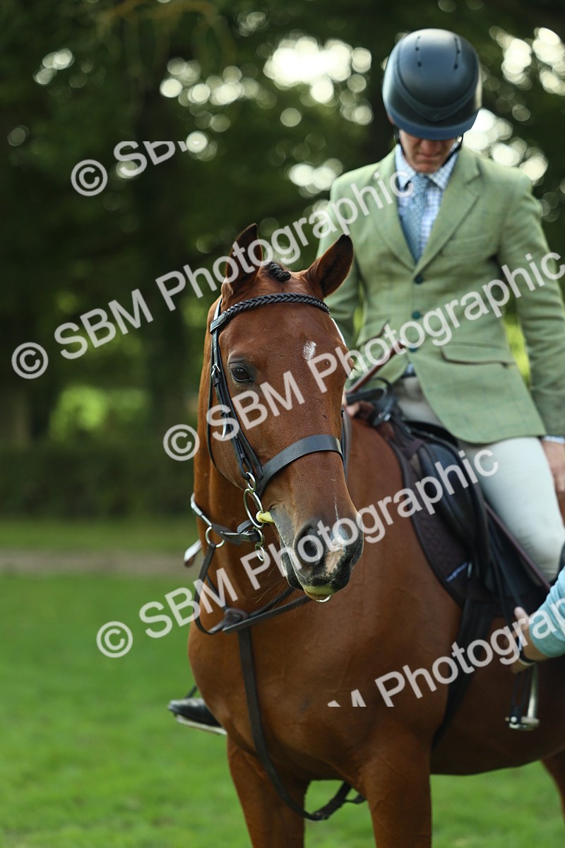 SBM_50739 - S33 - Working Hunter & Working Show Horse