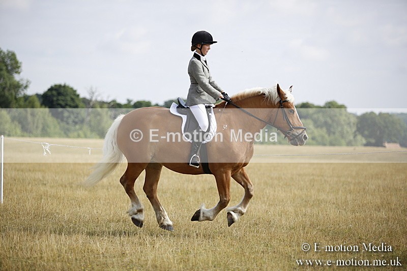 _C7A9279 - BVRC Show 2018 Ring 1