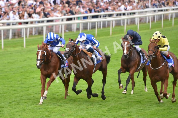 yr24072021r3-17 - Race 3 3.15pm Sky Bet York Stakes