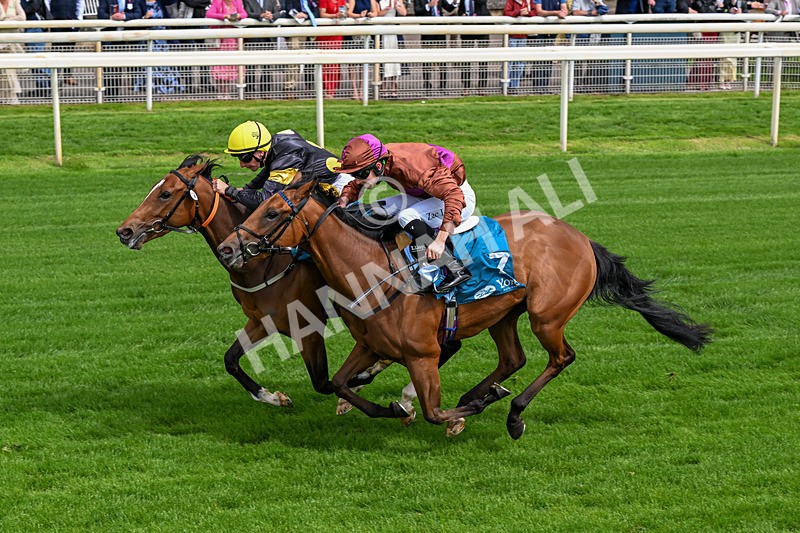 120626-Race 4-Big Negotiator-0244 - Race 4 15.35pm Juddmonte EBF Fillies' Restricted Novice