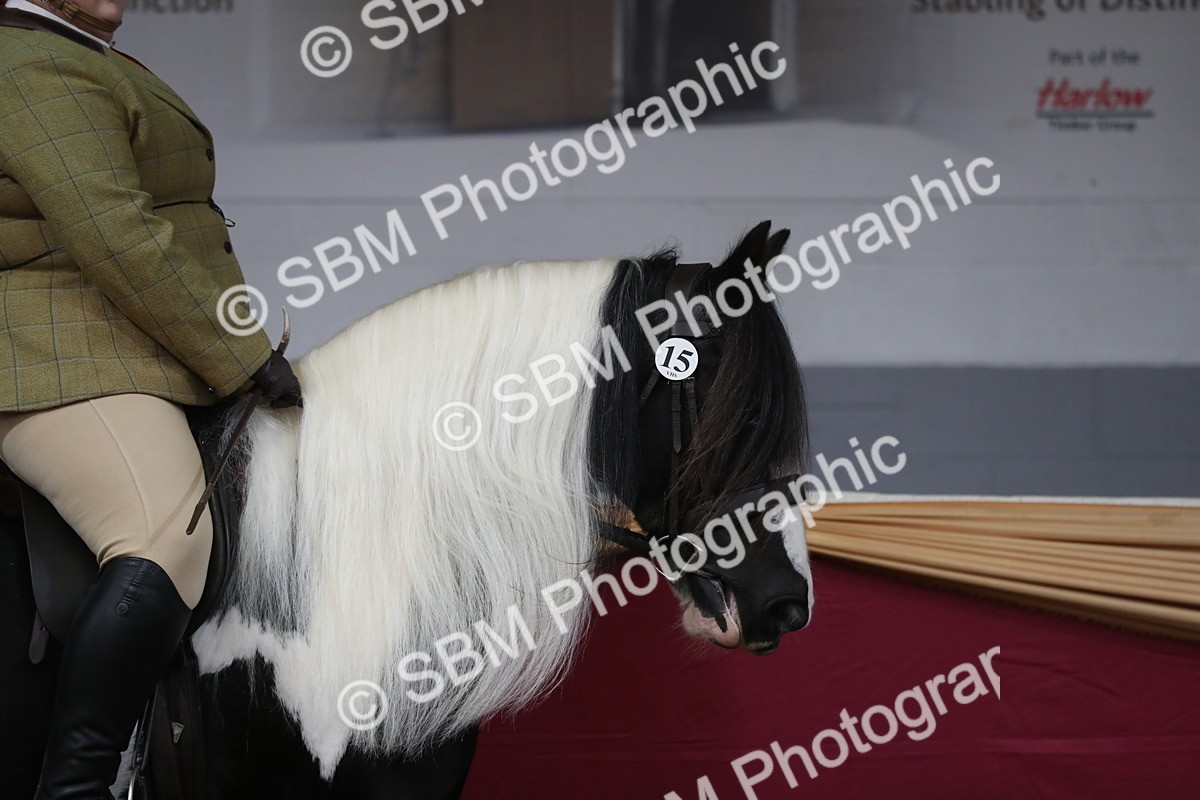 SBM_10296 - Class 102 Equitation (best rider) Adult