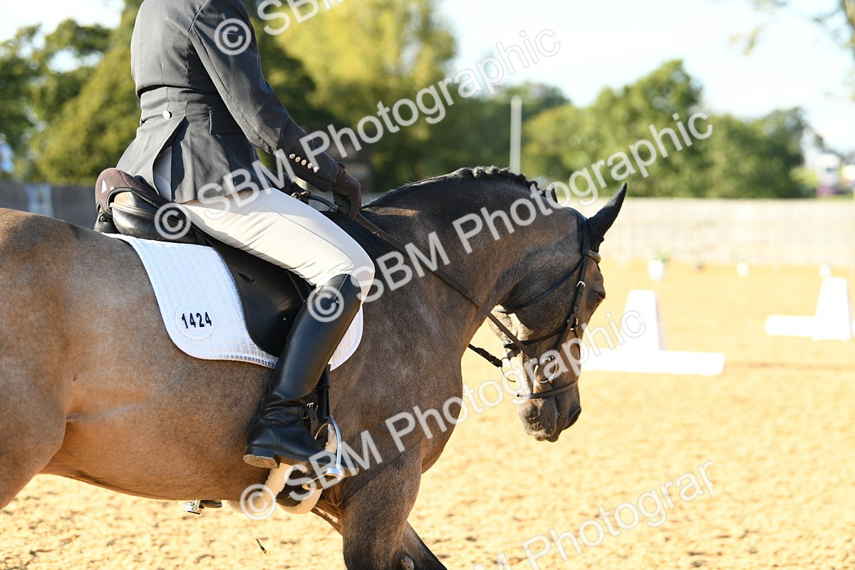 SBM_30729 - D16 - Small Tour Championship - Novice 28
