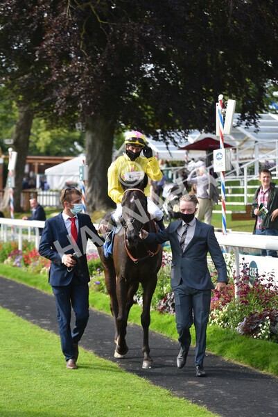 yr10072021r7-25 - Race 7: 5.15pm John Smith's Stakes