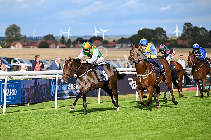 170925-Race 5-Hashtagnotions-5408 - Race 5