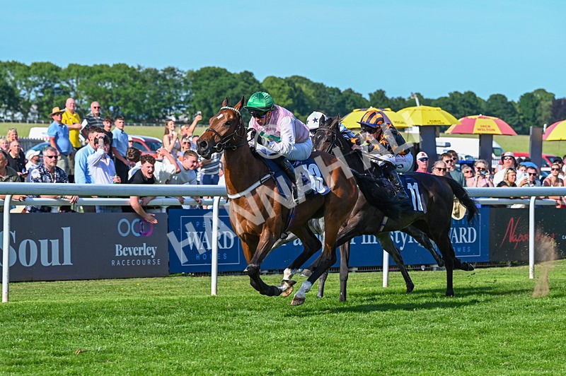 300526-Race 7-Anificas Beauty-7171 - Race 7 17.08pm Platinum Queen Play Live After Racing Handicap