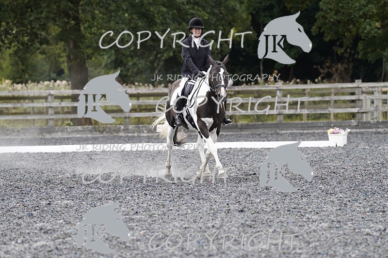 _DSC2011 - ELEM 2