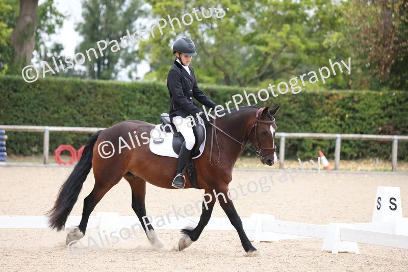 20250819-1138 - Class 3 - Prelim 2