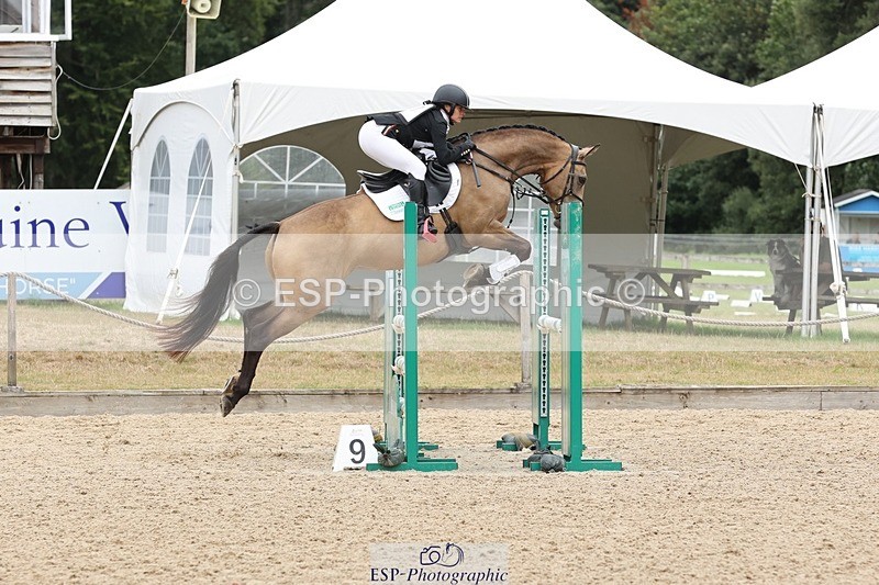 250803A-111934-10763 - K-477-Emily.Dobson-SILVERLININGS.APHRODITE