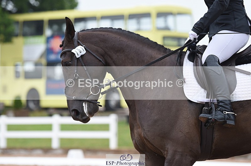 230708A-131130-01862 - Prelim 7