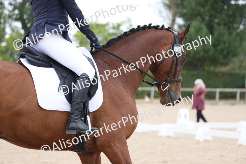 20250820-0391 - Class 11 - My Quest Novice 3