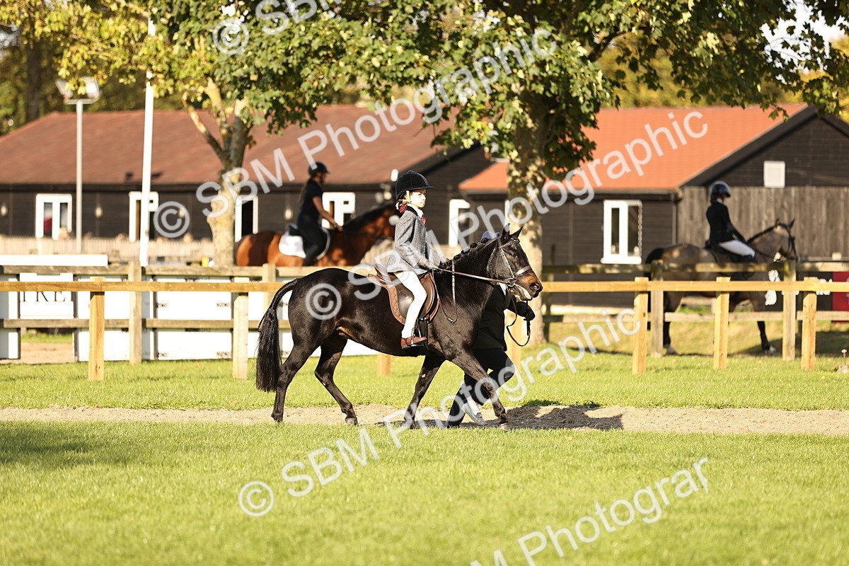 SBM_29379 - S7 - Novice & Newcomers Ridden Pony