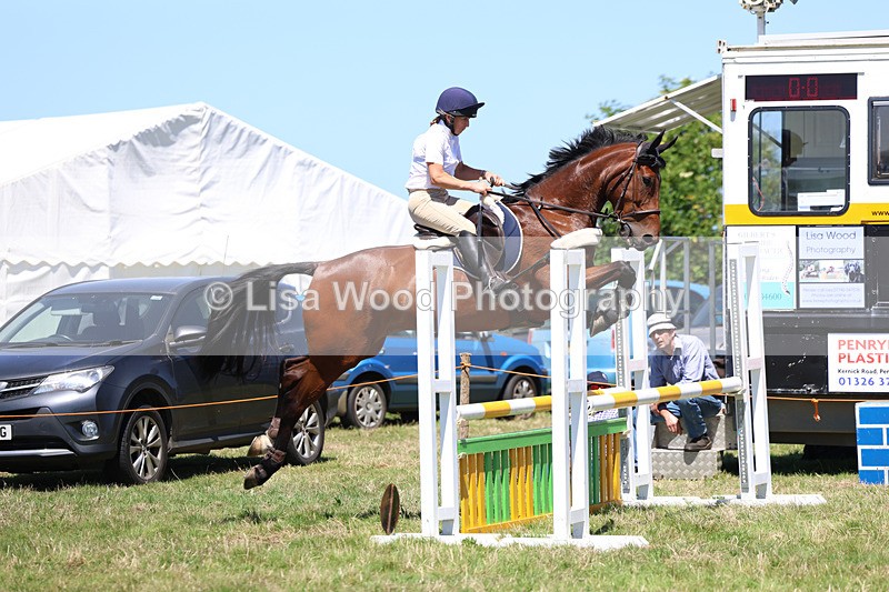 3E7A5498 - Class 9: Senior British Novice/90cm open