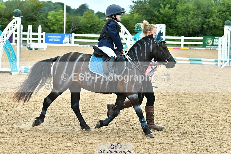 230804A-114710-02369 - Showjumping Competition