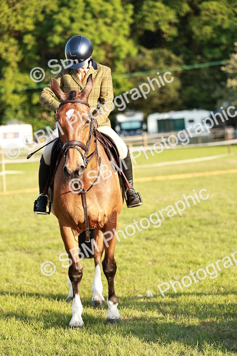 SBM_20567 - Class 117-119 - Sport Horse Working Hunter