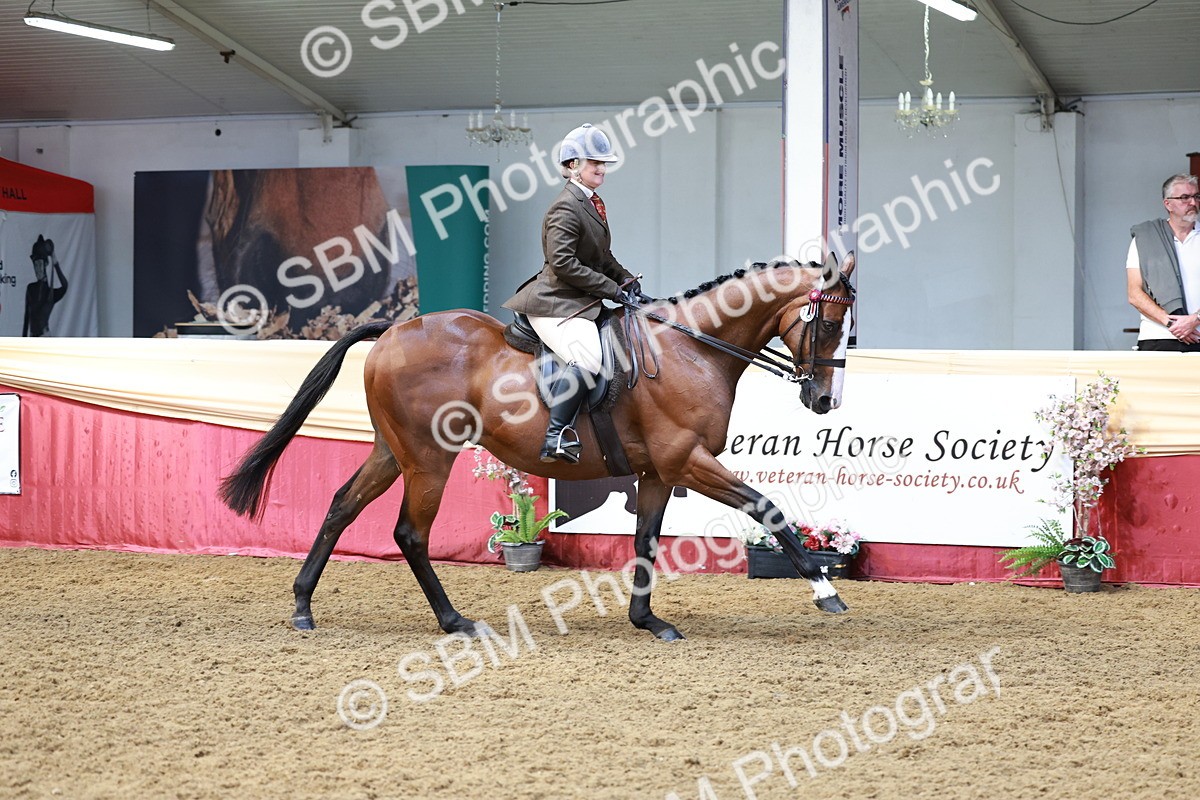 SBM_14900 - Class 108 - Ridden Retired Racehorse