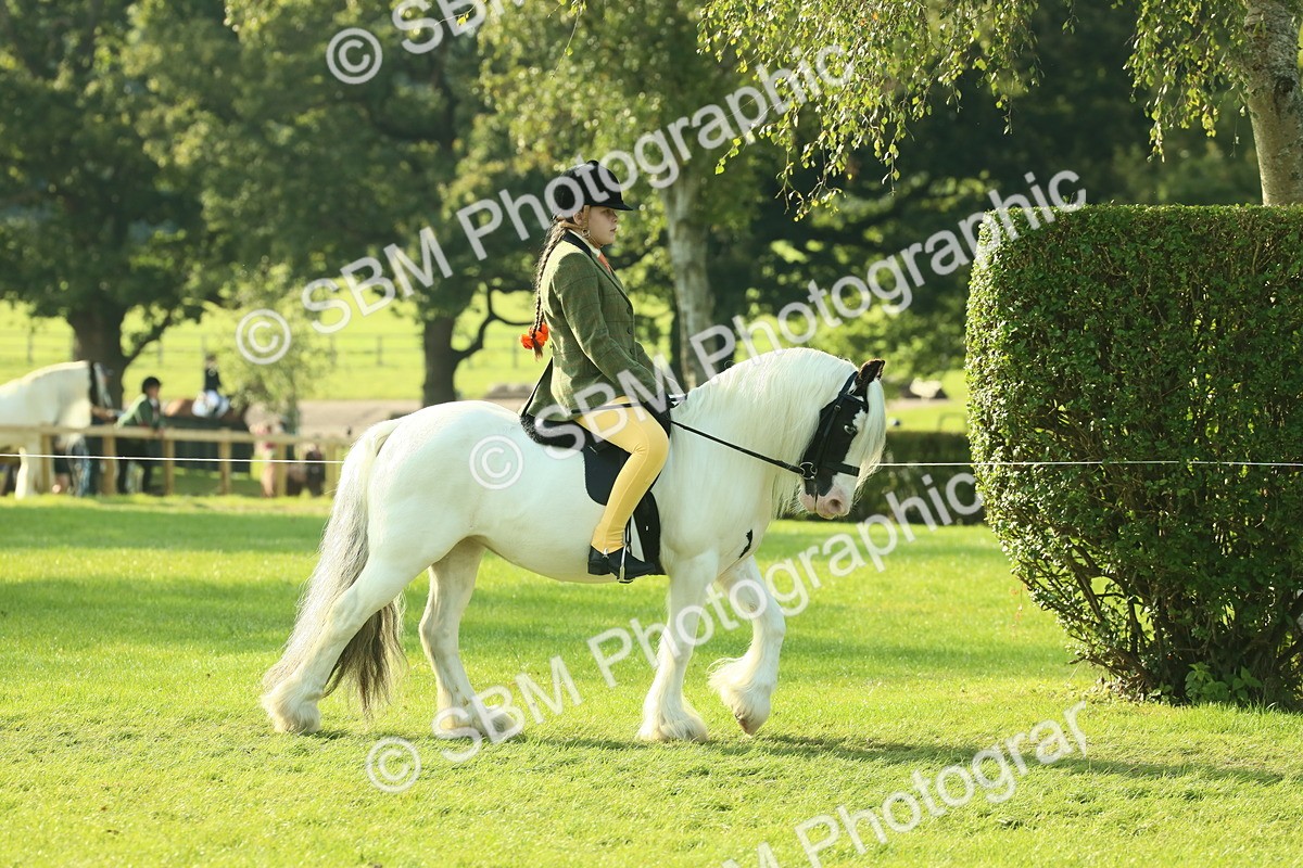 SBM_59300 - S38 - Starters Ridden Showing