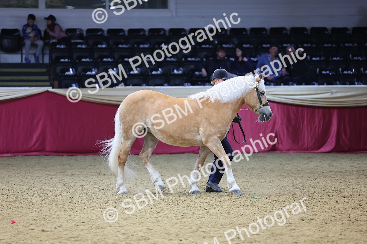 SBM_23215 - Supreme Final - IH Champion