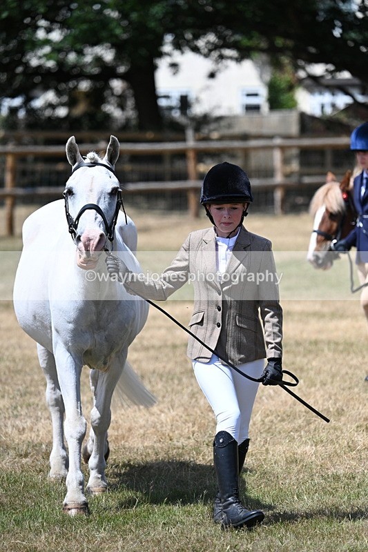 WJ7_2225 - Class 5 Most Handsome Gelding (up to 14.2hh) in hand