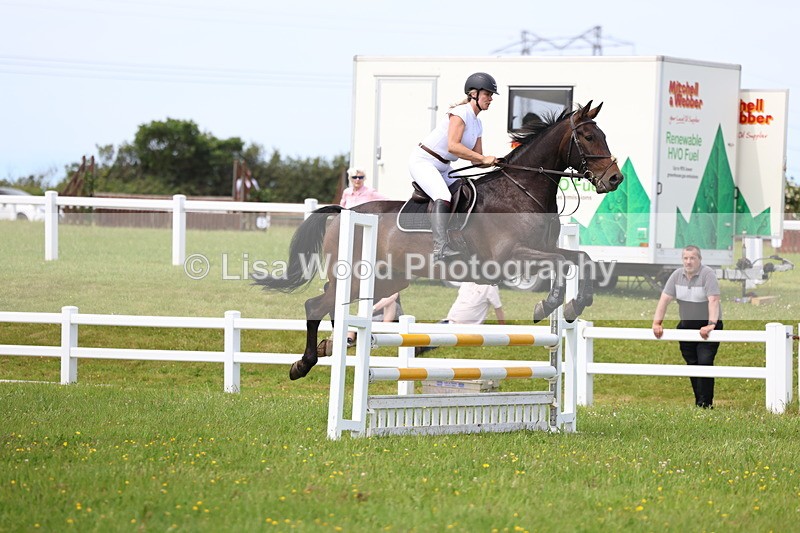 3E7A1490 - Class 13: Senior British Novice/90cm open