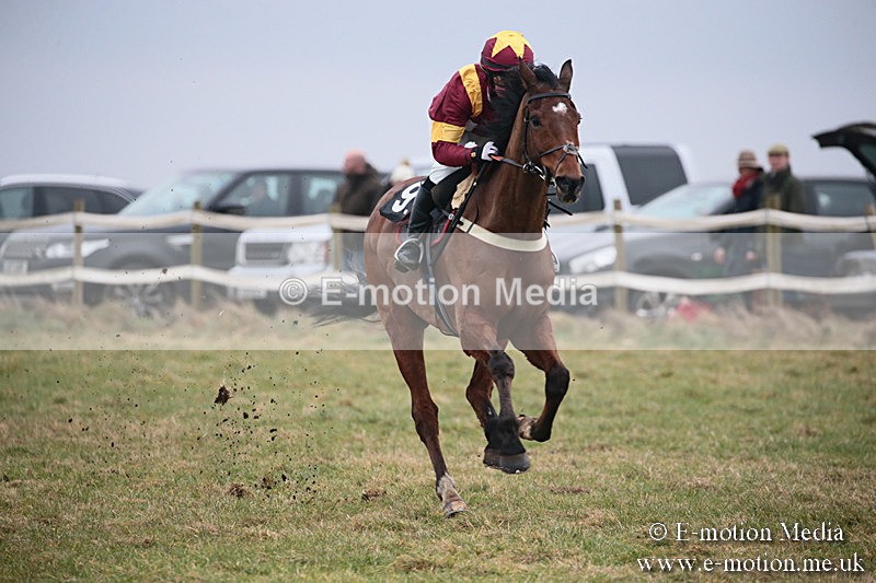 PtP 170219 -107 - Combined Services Point-To-Point Larkhill 17/02/19