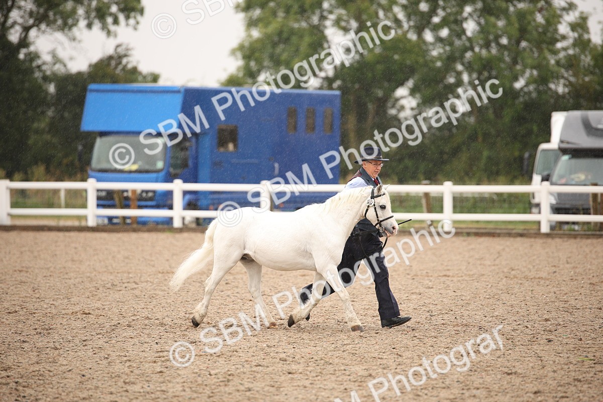 SBM_20693 - Class 705 - IH  Combination 65+