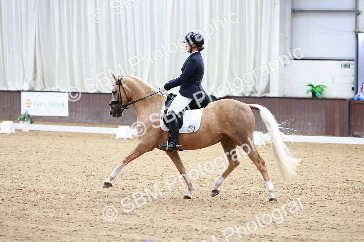 SBM_017317 - Class15 - FEI Pony