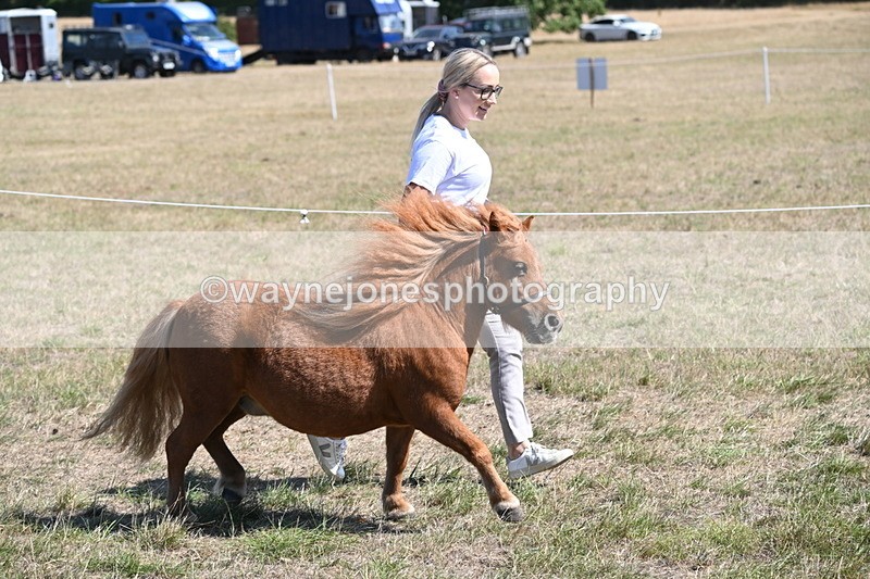 WJ6_9223 - Championship Classes 33-38