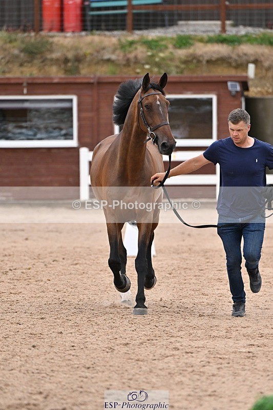 250716-141058-00947 - Trot Up 1.30 to 2.30