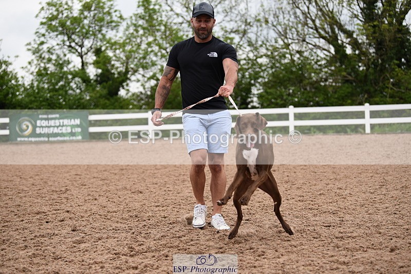 240518A-122334-01143 - Cls 4 Best Crossbred