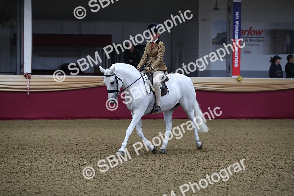 SBM_09315 - Class 101 Equitation (best rider), Junior