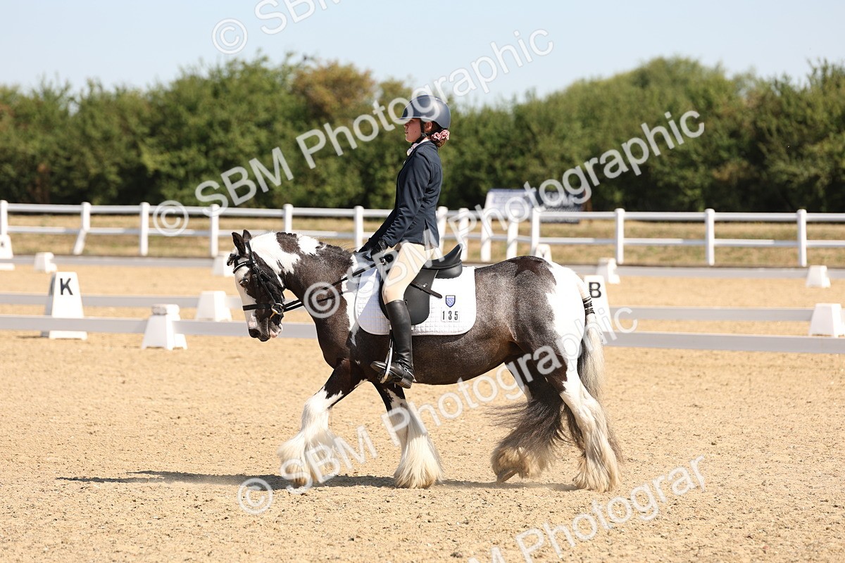 SBM_001072 - Intro 2