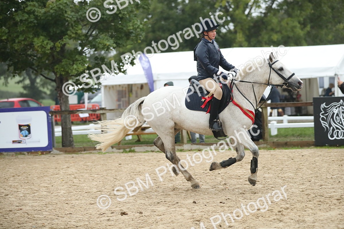 SBM_74342 - Supreme championship Junior Pony 70cm 75cm