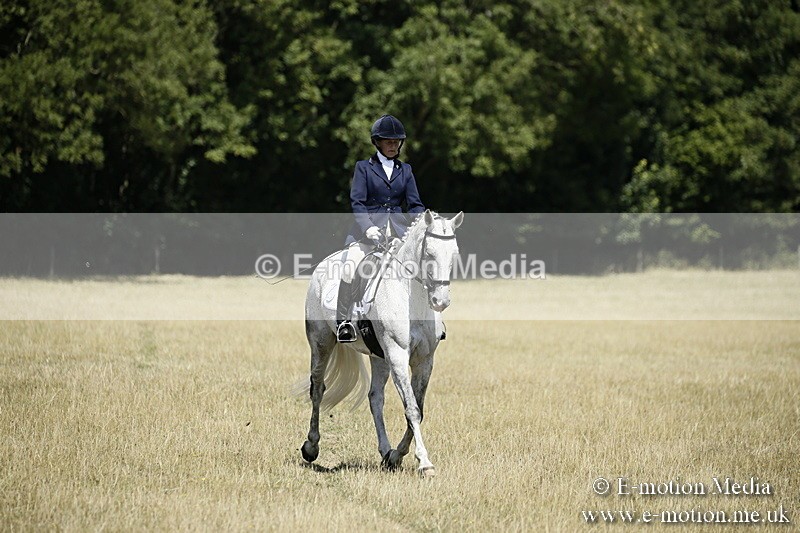 LP220718-14 - Roving Camera BVRC Show 2018